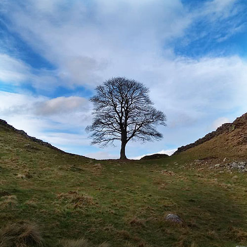 Local Views & Scenery