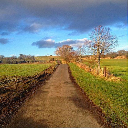Explore the Countryside