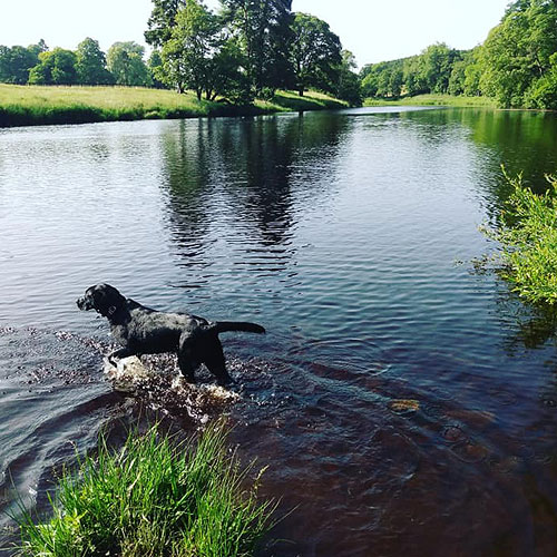 North Tyne River
