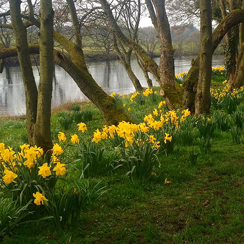 North Tyne River