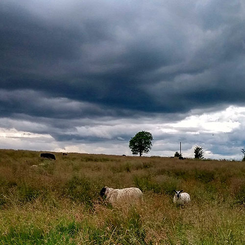 Bring Waterproofs!