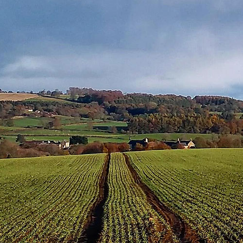 Over The Hills to Wark