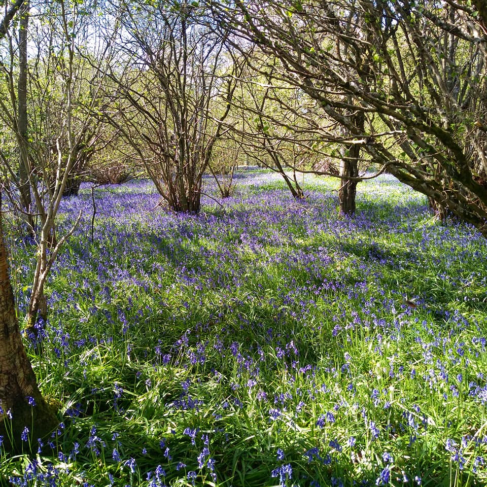 Gold Island & Riverside Walk
