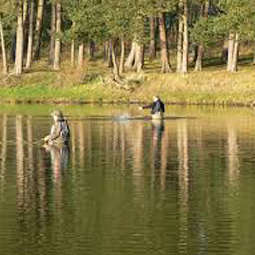 Langley Dam