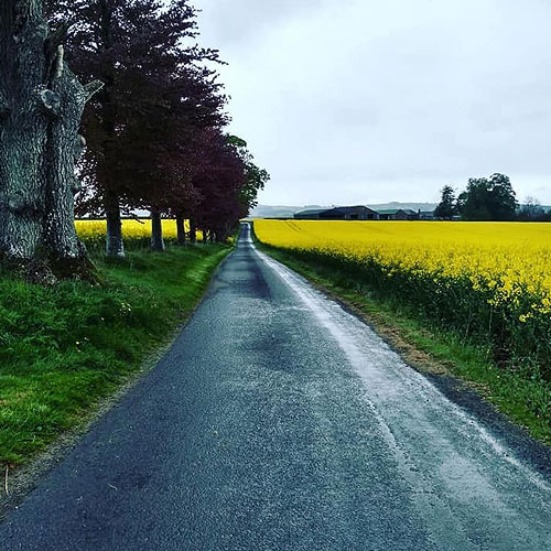 Explore the Countryside