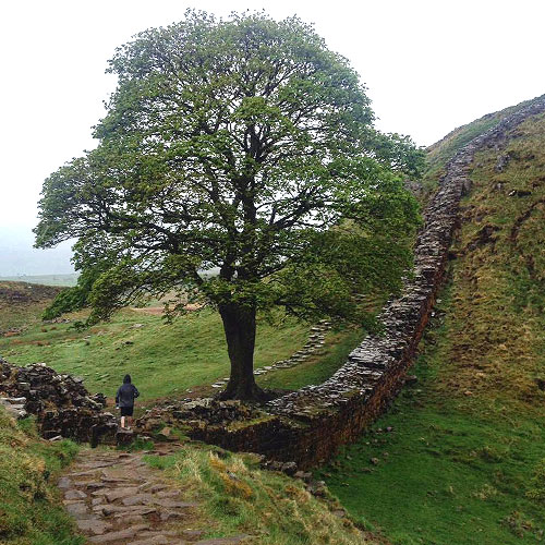 Hardian's Wall
