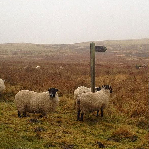 Explore the Countryside