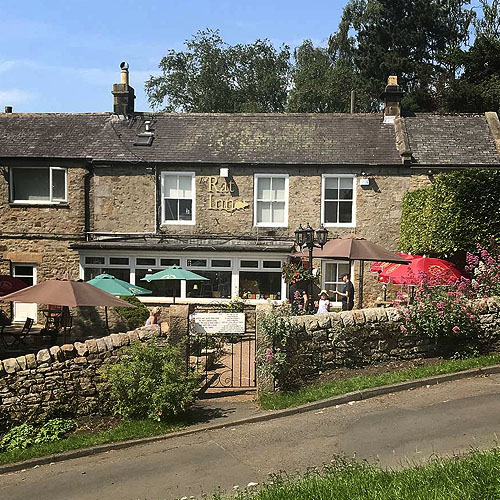 Rat Inn