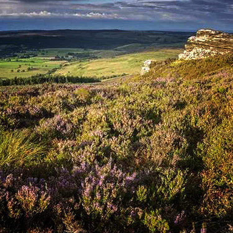 The Simonside Hills