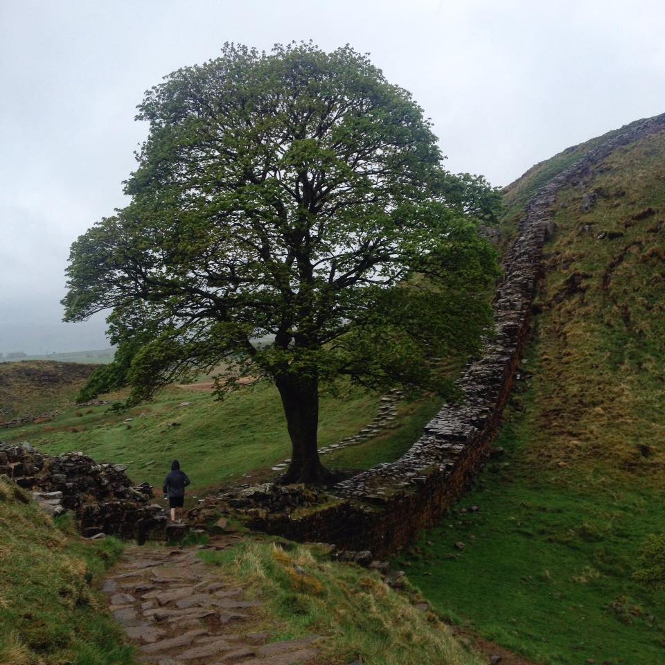 Hadrian's Wall & Sycamore Gap Walk